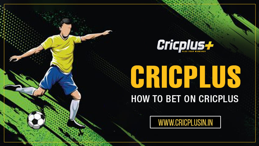 You are currently viewing How to Bet on Cricplus